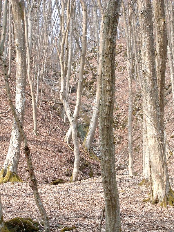 2010.03.20 057.jpg